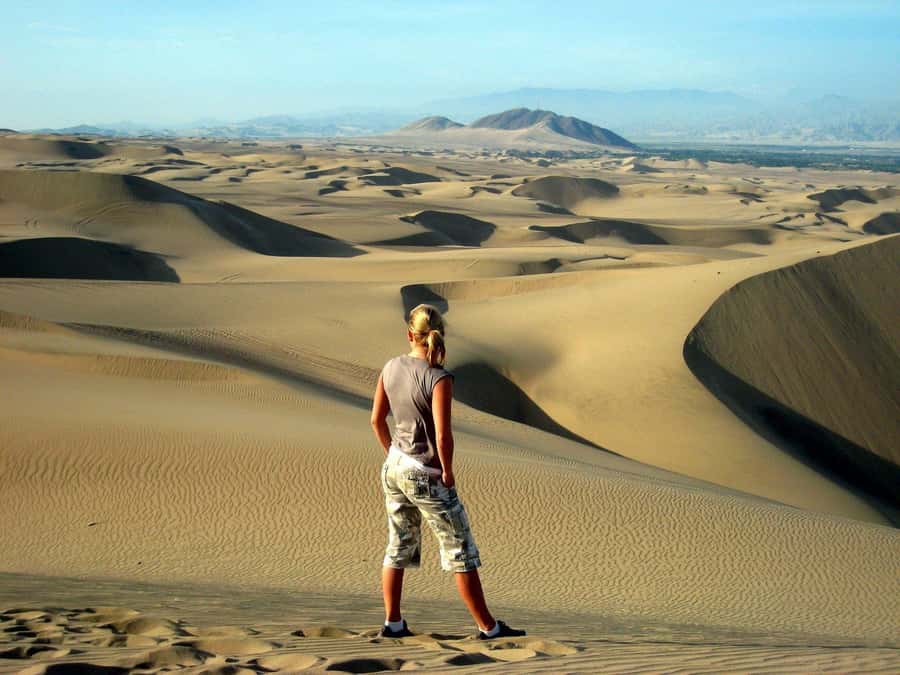Paracas or Pisco: Private Huacachina Oasis Tour & Buggy Ride - Leaving Paracas for Ica’s wine country