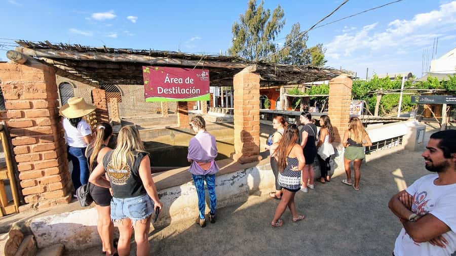 Paracas or Pisco: Private Huacachina Oasis Tour & Buggy Ride - The traditional winery and pisco tasting