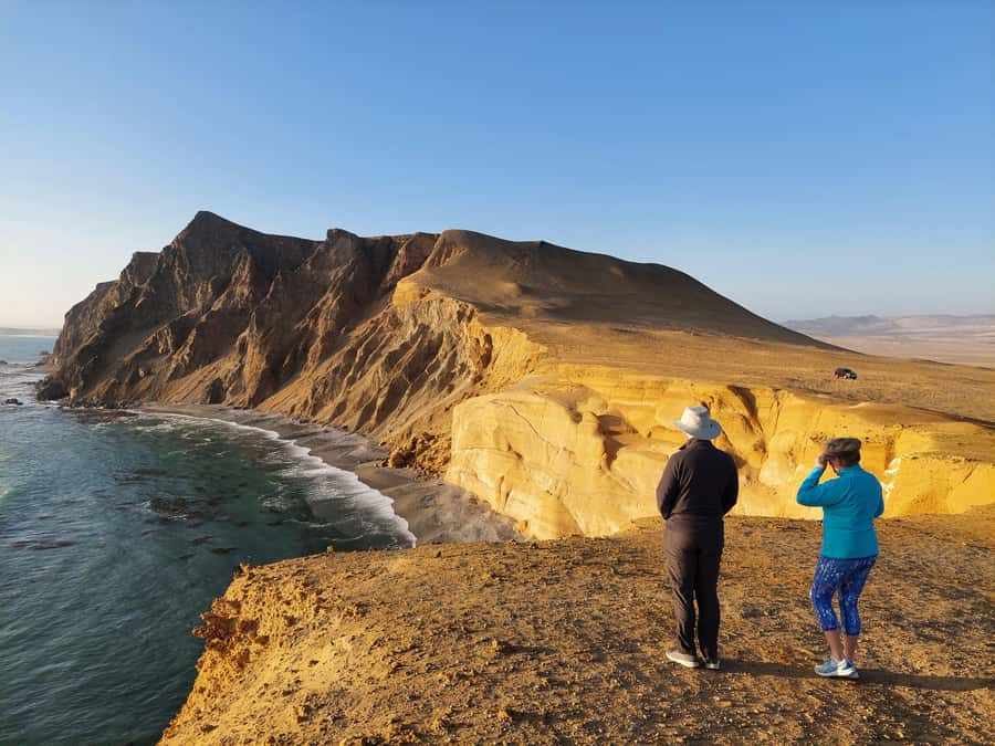 Paracas:Private Tours Paracas National Reserve all inclusive - Why Paracas National Reserve deserves your time