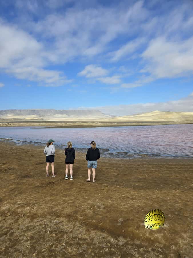 Paracas:Private Tours Paracas National Reserve all inclusive - Centro de Interpretación: begin with context