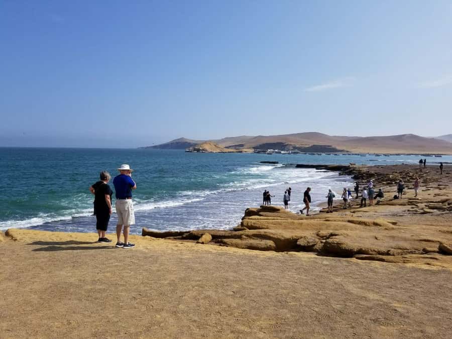 Paracas:Private Tours Paracas National Reserve all inclusive - Mirador Catedral and the power of the coast
