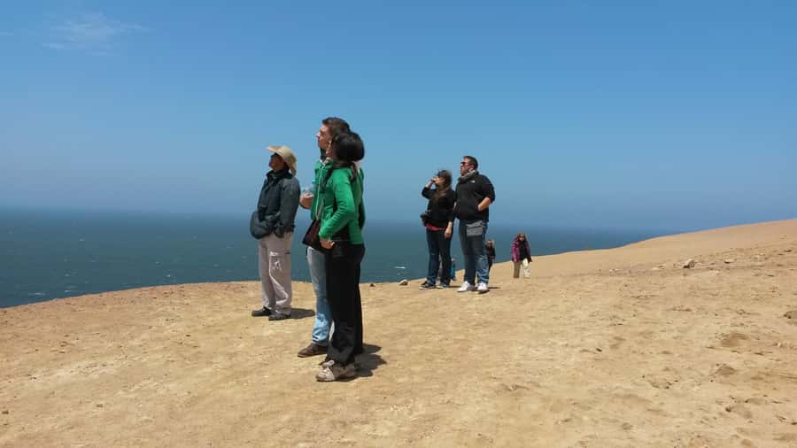 Paracas:Private Tours Paracas National Reserve all inclusive - Lagunillas and the pink lagoon