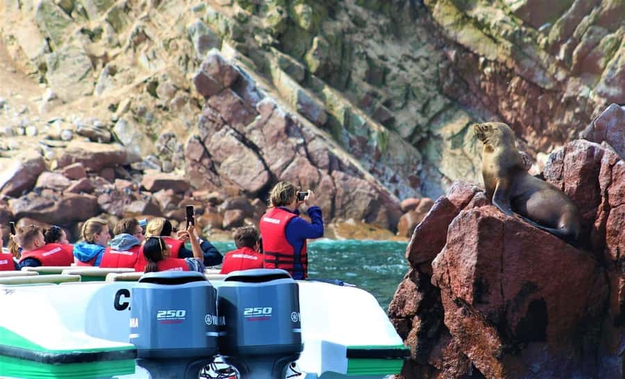 Paracas: speedboat BALLESTAS ISLANDS TOUR - The speedboat ride and what the two hours really mean