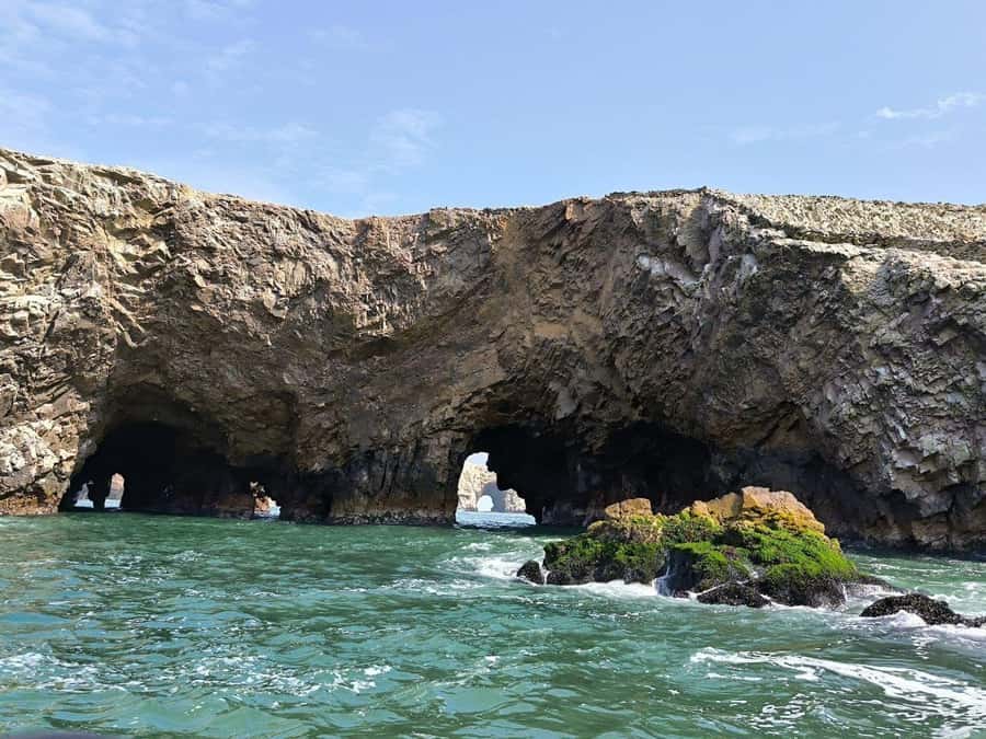 Paracas: speedboat BALLESTAS ISLANDS TOUR - Who should book this tour