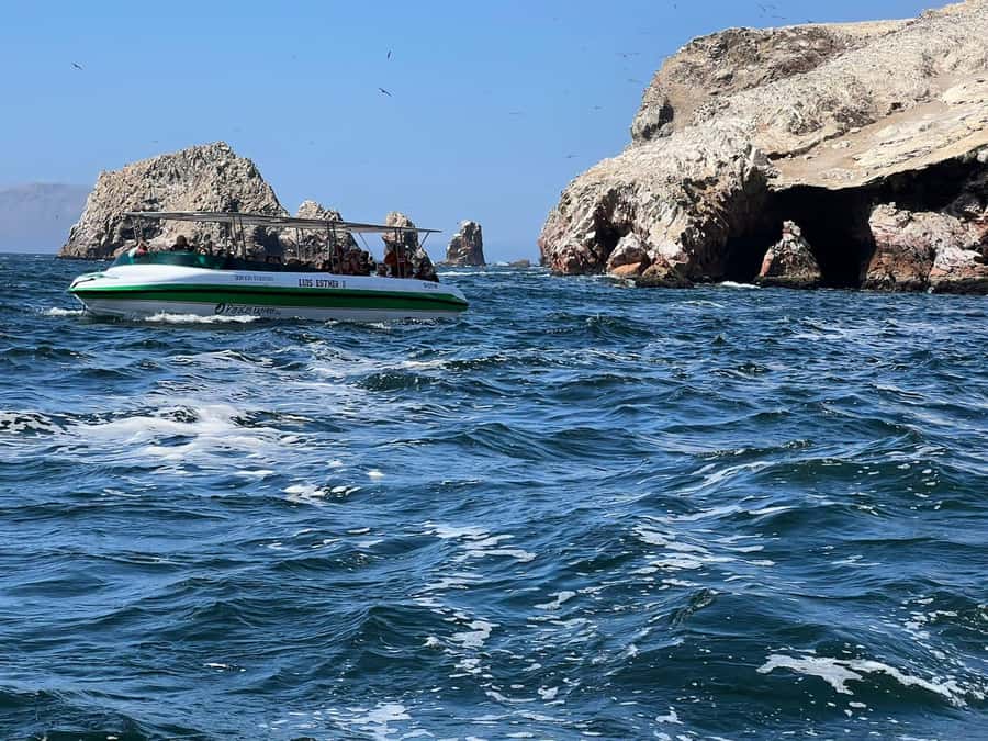 Paracas: speedboat BALLESTAS ISLANDS TOUR - Starting in Plaza El Chaco