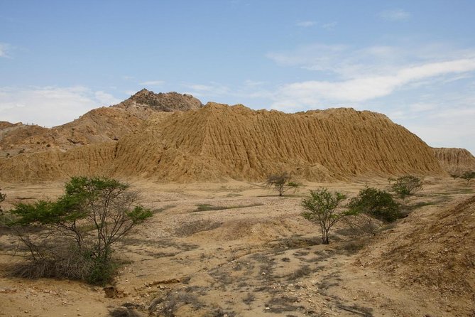 Piramids of Tucume Tour, Sican Museum and Lambayeque city tour - Key points to know before booking