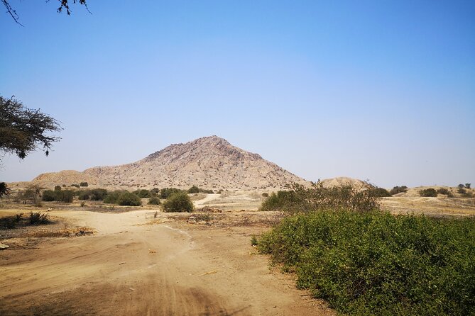 Piramids of Tucume Tour, Sican Museum and Lambayeque city tour - The guide makes the archaeology easier to read