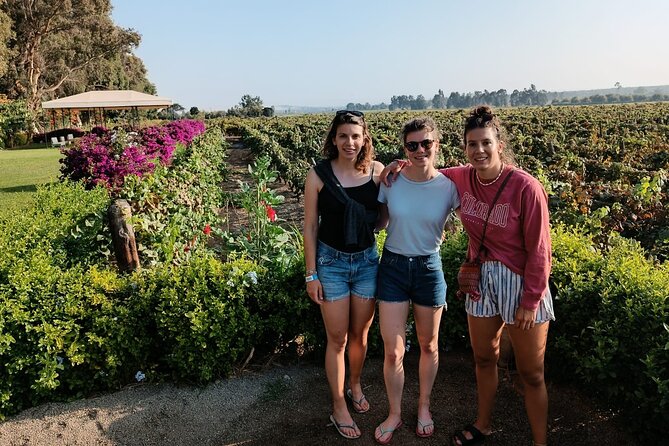 Pisco and wine route, Huacachina, Buggies, Sandboard and sunset - What this Ica day is really about