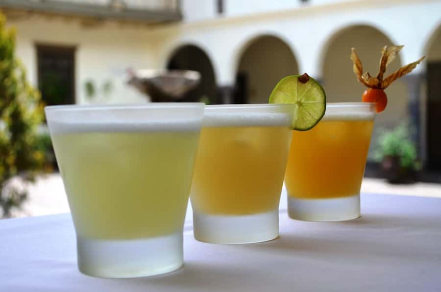 Pisco Sour Workshop in Cusco | Learn, Create, and Toast | - Key points to know before booking