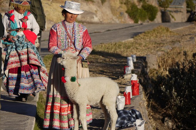 Private Colca Full-Day Tour from Arequipa - The main reasons to consider this Colca Canyon day