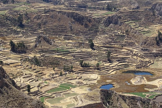 Private Colca Full-Day Tour from Arequipa - Cruz del Condor is the day’s big payoff