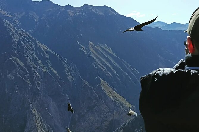Private Colca Full-Day Tour from Arequipa - La Calera’s hot springs are more than a sightseeing stop