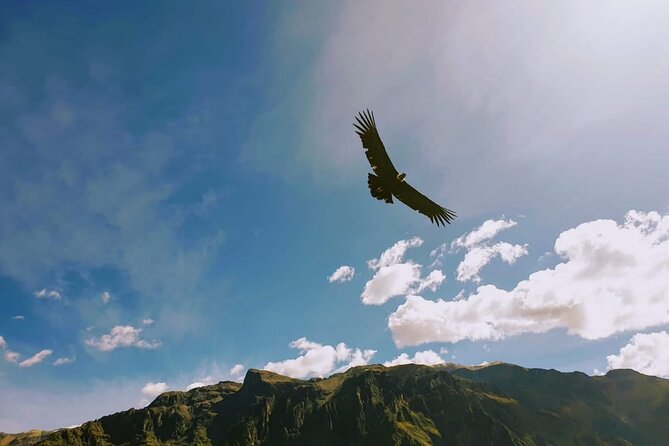 Private Colca Full-Day Tour from Arequipa - Abra Patapampa brings the mountains into view