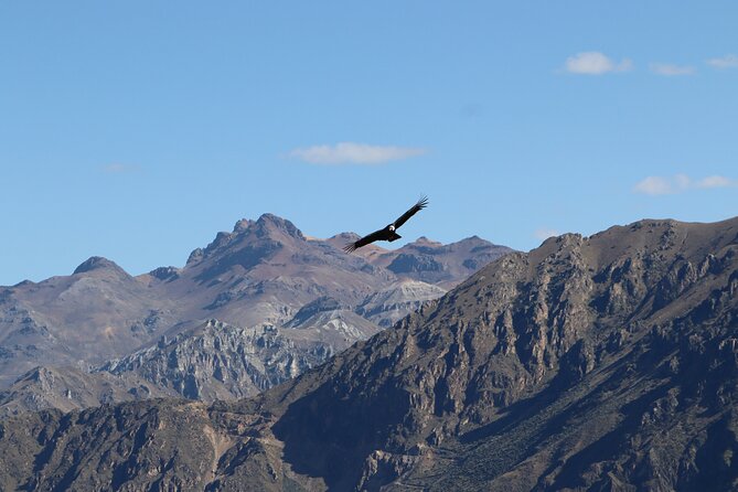Private Full Day Tour to Colca Canyon with Breakfast - Why this private tour works well
