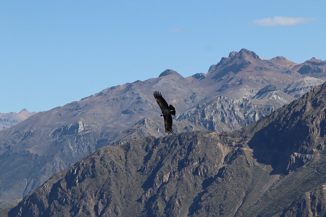 Private Full Day Tour to Colca Canyon with Breakfast - Chacapi Thermal Baths and the extra cost