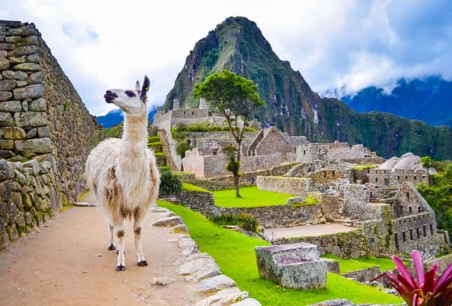 Private Guide in Machu Picchu for 3 Hours - The Guardian House and Machu Picchu’s classic view