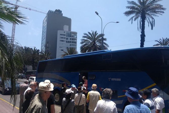 Private Lima City Tour. Special tour for Cruise Passengers. - San Francisco Convent and the catacombs