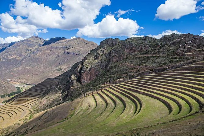 Private Ollantaytambo, Pisac Ruins Tour with Farm Visit, Gourmet Picnic Lunch - A Yanahuara farm visit with alfalfa and chicha