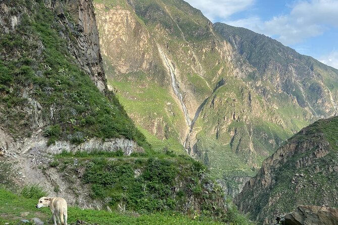 Private Tour 3 Days in the Colca Canyon with Andean Ceremony - Six things to know before booking