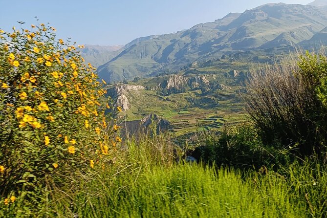 Private Tour 3 Days in the Colca Canyon with Andean Ceremony - Who will enjoy this Colca Canyon trip?
