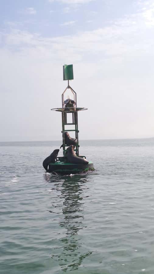Private Tour: Ballestas Island & Huacachina Oasis, from Lima - Is $269 per person a fair price?