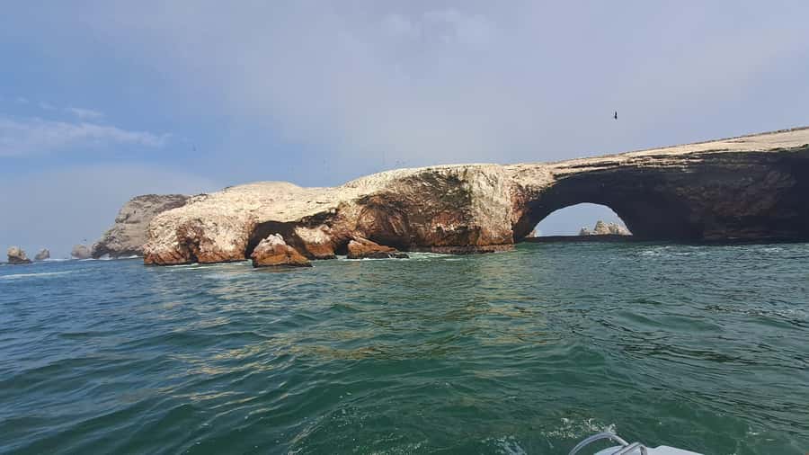 Private Tour: Ballestas Island & Huacachina Oasis, from Lima - Buggy rides and sandboarding on the dunes