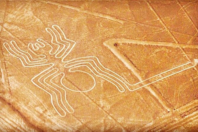 Private Tour to the Astonished Nazca Lines and Huacachina Oasis - Why this makes sense from Lima