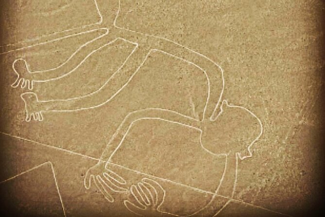 Private Tour to the Astonished Nazca Lines and Huacachina Oasis - A private car, guide, and long road hours