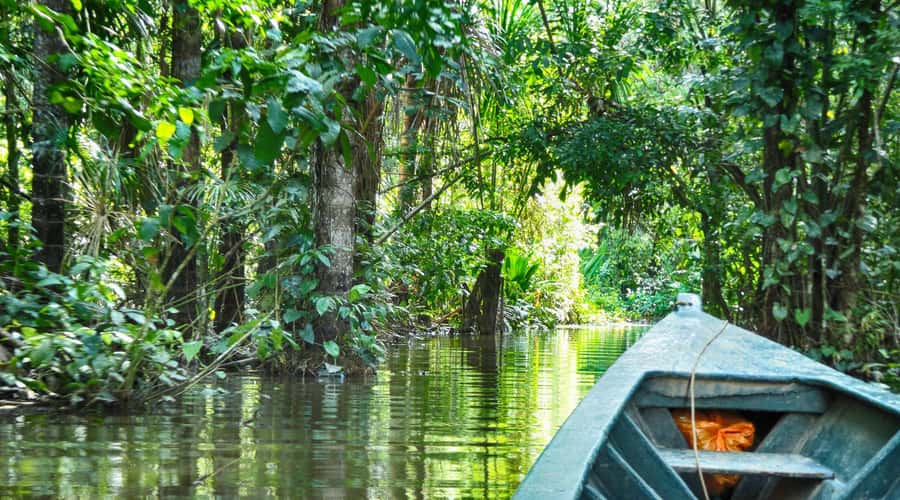 Puerto Maldonado: 2-Day Peruvian Tambopata Jungle Trip - Key points to know before booking
