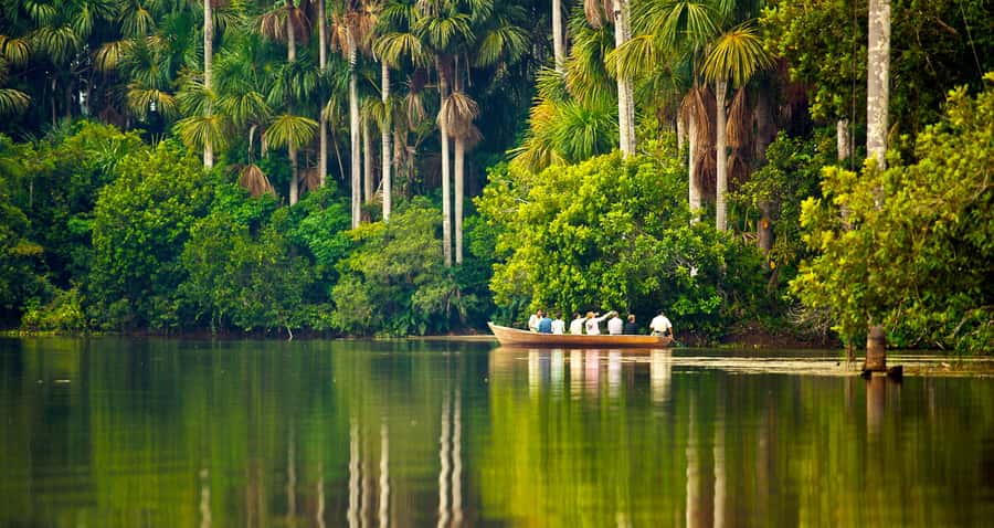 Puerto Maldonado: 2-Day Peruvian Tambopata Jungle Trip - From Puerto Maldonado to a jungle lodge