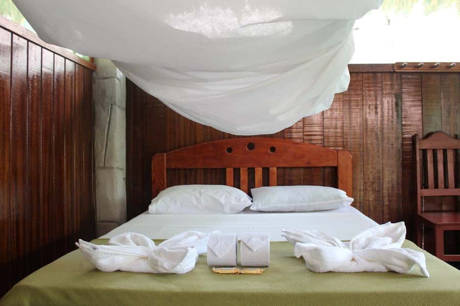 Puerto Maldonado: 2-Day Peruvian Tambopata Jungle Trip - The 1.5-hour walk to Lake Sandoval