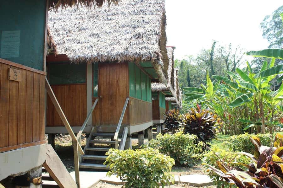 Puerto Maldonado: 2-Day Peruvian Tambopata Jungle Trip - Lodge comfort, free time, and practical limits