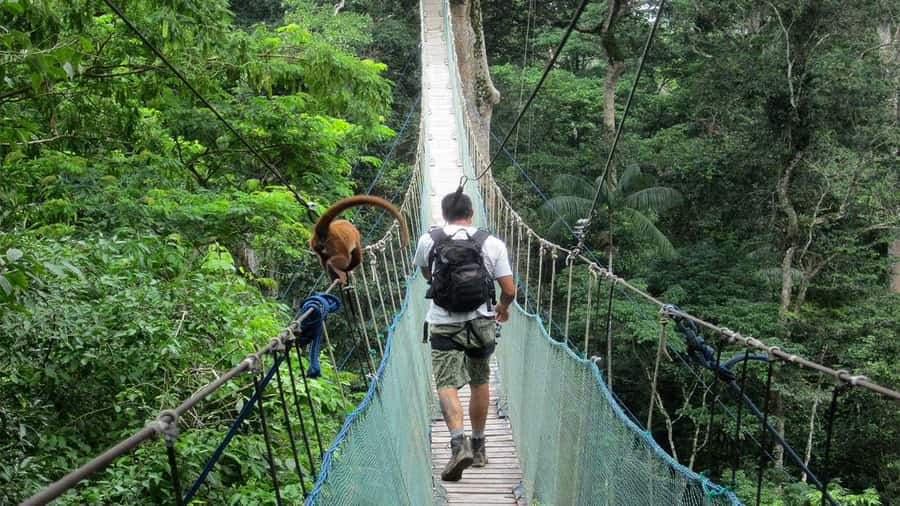 Puerto Maldonado: 2-Day Peruvian Tambopata Jungle Trip - Returning to Puerto Maldonado and planning flights