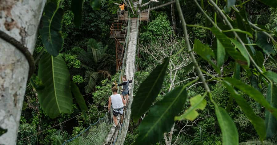 Puerto Maldonado: 2-Day Peruvian Tambopata Jungle Trip - The 35-meter canopy tower and Lupuna tree