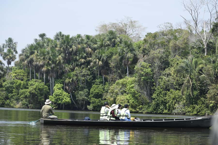 Puerto Maldonado: 4-Day Tambopata Rainforest Tour - Day two: sloths, caimans, and Lake Sandoval