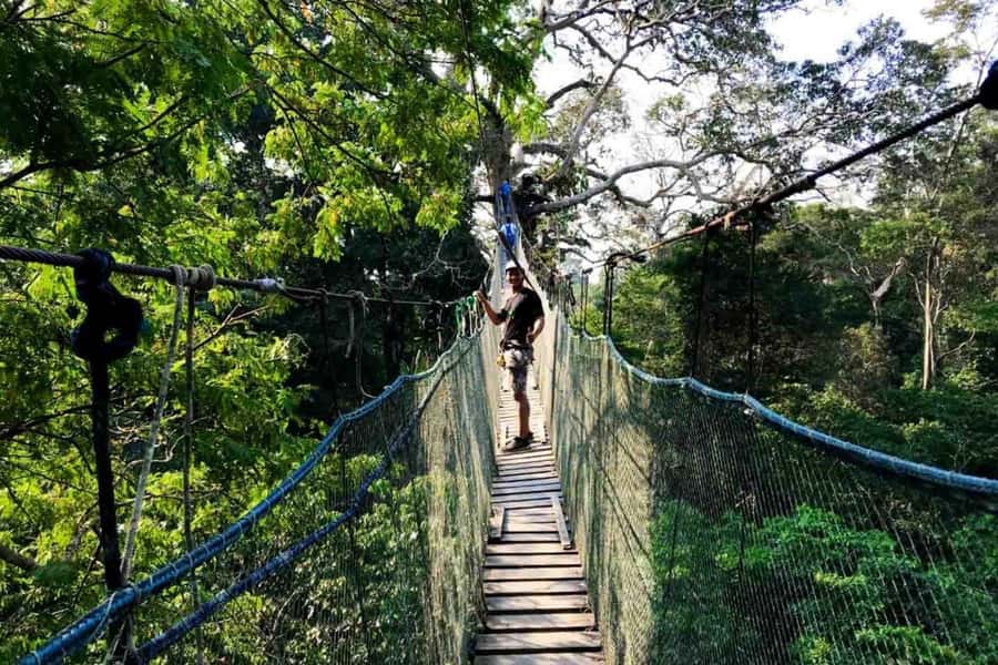 Puerto Maldonado: Jungle Adventure |Zipline + Canopy + Kayak - What $66 buys you on the Madre de Dios