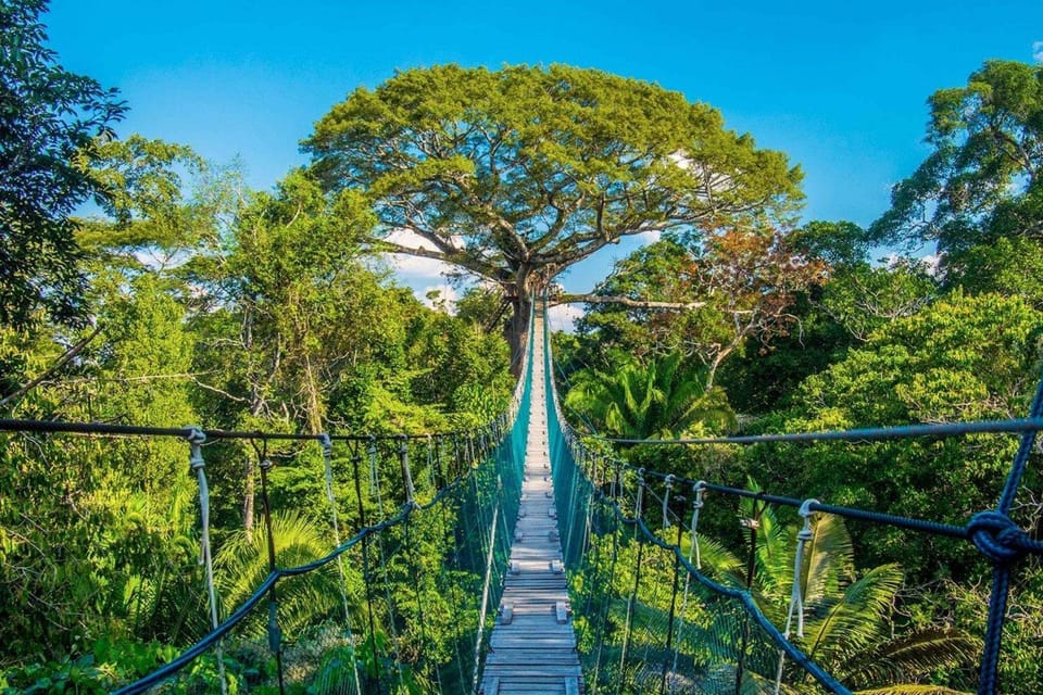 Puerto Maldonado: Jungle Adventure |Zipline + Canopy + Kayak - Kayaking brings the best chance for river wildlife
