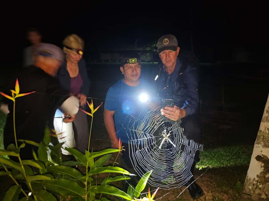 Puerto Maldonado: Jungle Night Tour with Sloths & Tarantulas - Why Tambopata is worth seeing after sunset