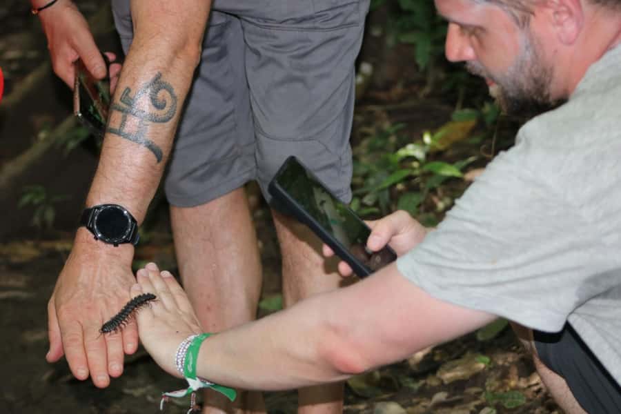 Puerto Maldonado: Jungle Night Tour with Sloths & Tarantulas - Searching for tarantulas and spiders