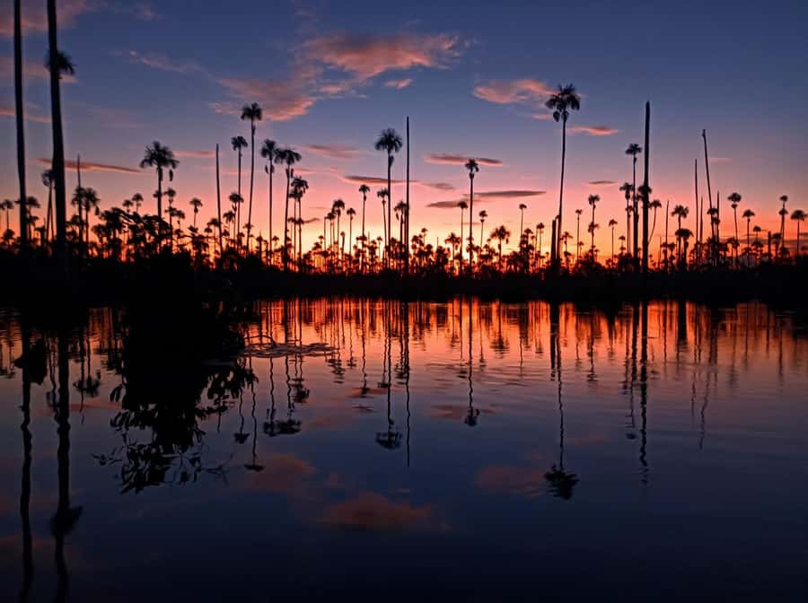 Puerto Maldonado: Lake Yacumama sunset and piranha fishing - The ride out from Puerto Maldonado