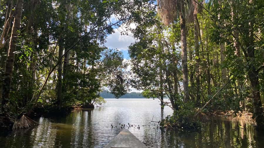 Puerto Maldonado: Sandoval Lake 4-Day, 3-Night Guided Tour - Night one: caimans, capybaras, and a working flashlight