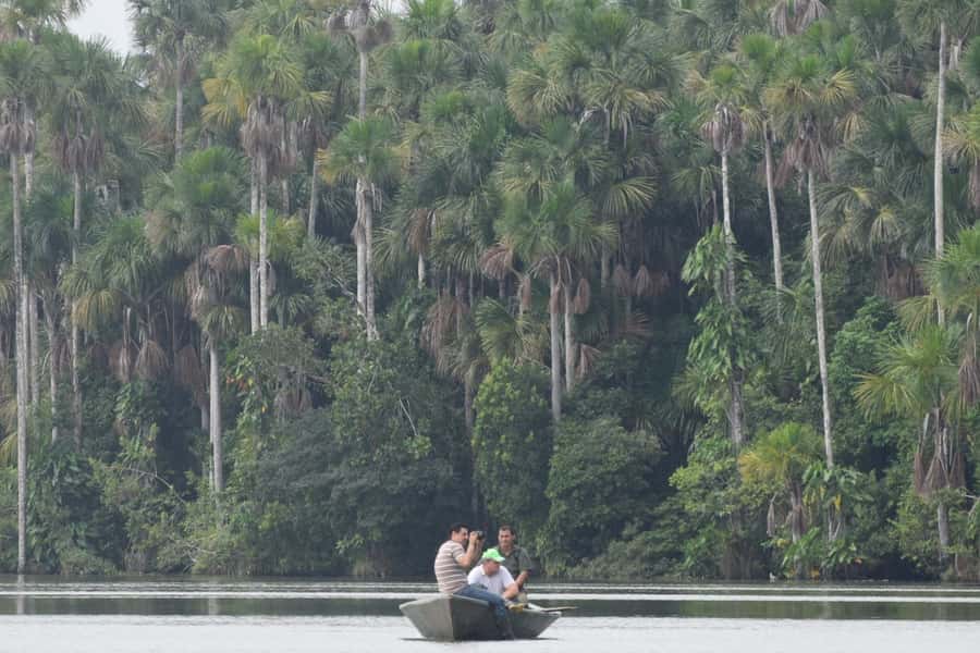 Puerto Maldonado: Sandoval Lake Full-Day Trip with Canoeing - Walking 55 Minutes Through Tambopata