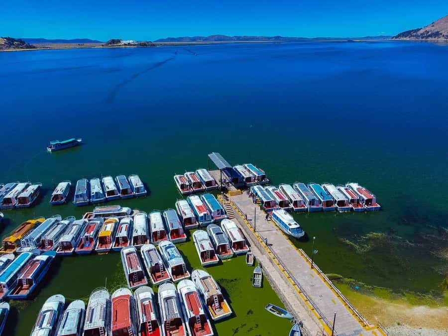 Puno: 3-hour trip to the floating Uros Islands - What the guide adds to the visit