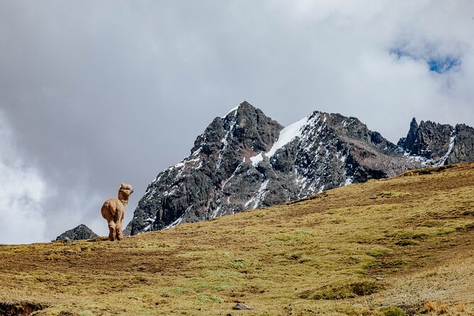 Rainbow Mountain and Red Valley Hike – 2 Days / 1 Night - What the guide and food add to the experience