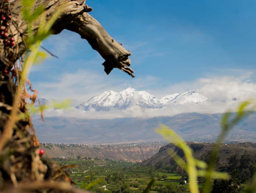 Rock Climbing in Arequipa, Perú - Three hours of climbing, from gentle routes to a challenge