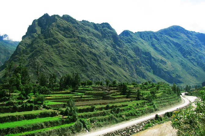 Sacred Valley and Machu Picchu 2-day Tour - Awanacancha and the four South American camelids
