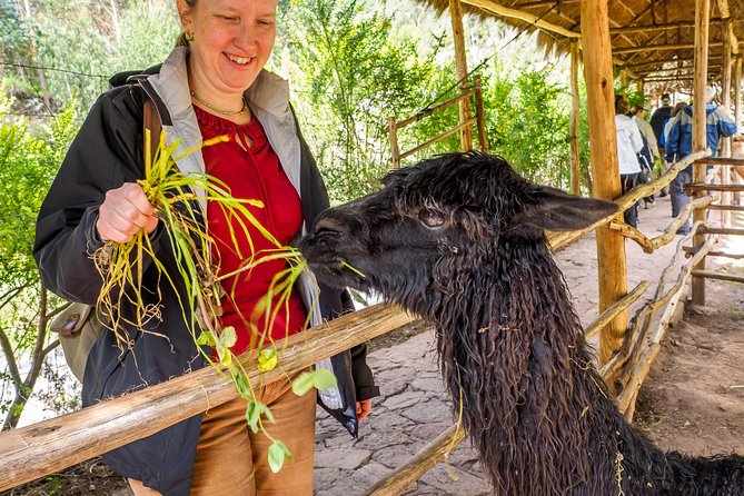 Sacred Valley and Machu Picchu Tour in 2 days with Peru Vip - Urubamba buffet lunch and the value of included food