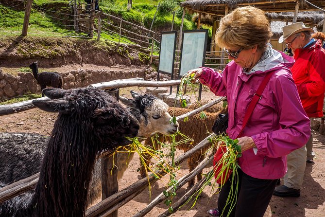 Sacred Valley and Machu Picchu Tour in 2 days with Peru Vip - Entering Machu Picchu on the second day