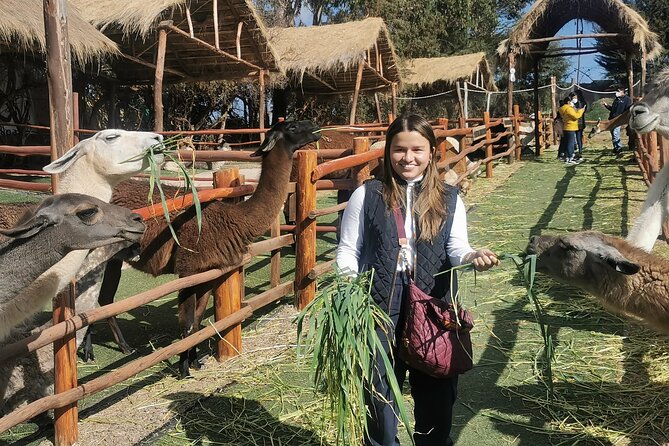 Sacred Valley: Chinchero, Moray, Maras Salt Mines & Ollantaytambo - The Return to Cusco Around 5:30 p.m.