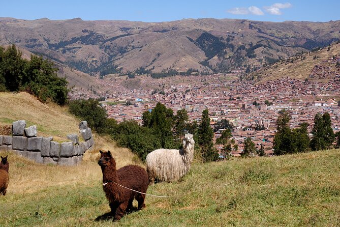 Sacsayhuaman Temple, Tambomachay and Puca Pucara Half-Day Tour - What the guide adds, and where the tour can fail